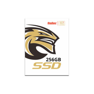 Kingspec 2.5" SATA 256GB Solid State Disk (SSD), P-Serie